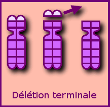 Délétion