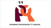 Chromosome 11